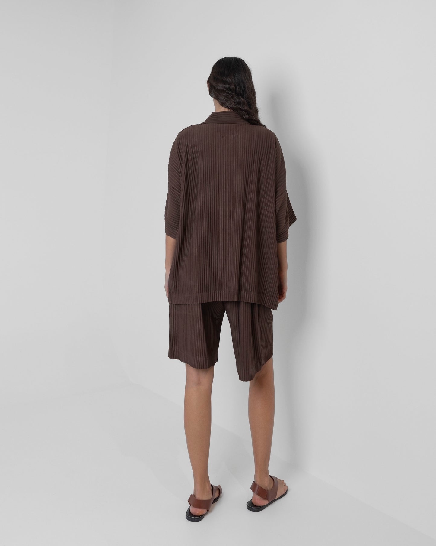 Brown Shorts & Short Sleeve Pleats Set