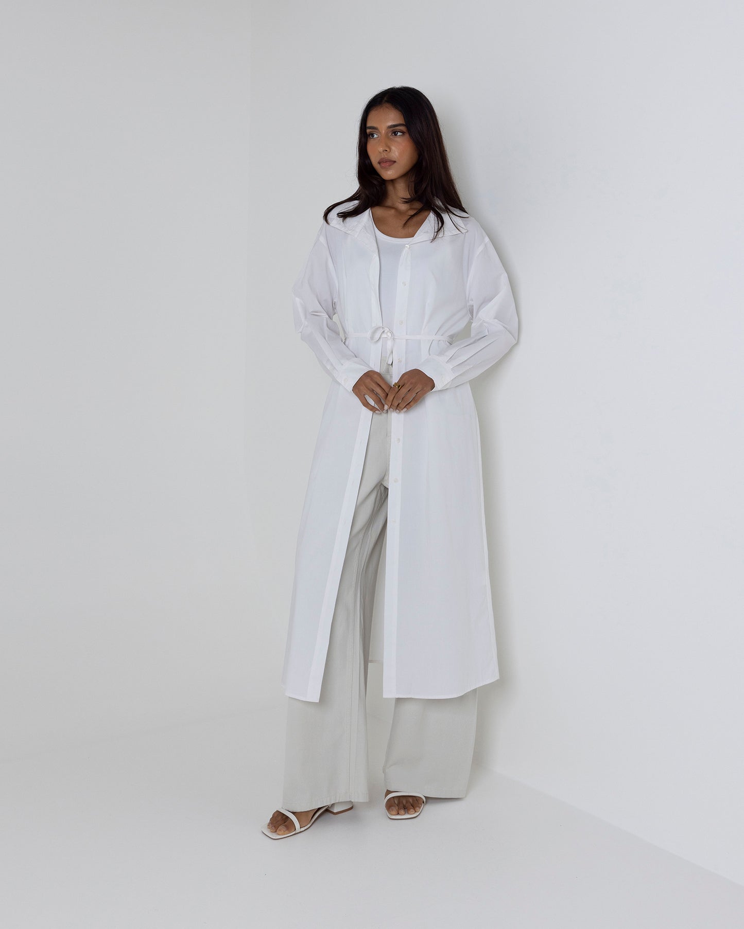 White Collared Shirt Dress